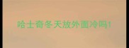 哈士奇冬天放外面冷吗