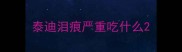泰迪泪痕严重吃什么