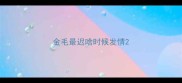 金毛最迟啥时候发情