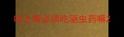 哈士奇必须吃驱虫药嘛