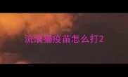 流浪猫疫苗怎么打