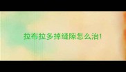 拉布拉多掉缝隙怎么治