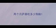 两个月萨摩吃多少狗粮