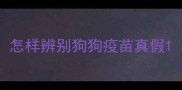怎样辨别狗狗疫苗真假