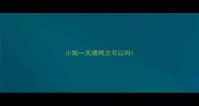 小狗一天喂两次可以吗