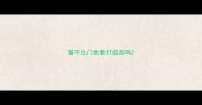 猫不出门也要打疫苗吗
