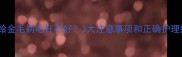 夏季给金毛剃毛好不好3大注意事项和正确护理指南