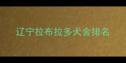 辽宁拉布拉多犬舍排名