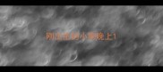 刚出生的小狗晚上