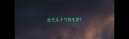 金毛几个月换毛期
