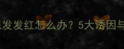 金毛犬脚趾缝毛发发红怎么办5大诱因与专业护理指南