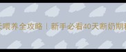 泰迪幼犬40天喂养全攻略新手必看40天断奶期科学喂养指南