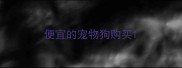 便宜的宠物狗购买
