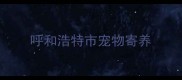 呼和浩特市宠物寄养