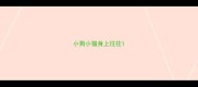 小狗小猫身上往往