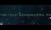 狗狗一天不喝水了怎么办紧急处理指南及5大原因养宠人必看