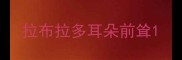 拉布拉多耳朵前耸