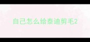 自己怎么给泰迪剪毛
