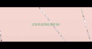 沈阳有宠物批发市场