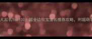 边境牧羊犬起名Top100超全边牧宝宝名推荐攻略附超萌名字灵感库