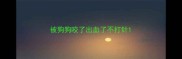 被狗狗咬了出血了不打针