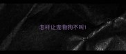 怎样让宠物狗不叫
