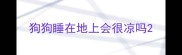 狗狗睡在地上会很凉吗