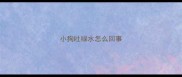 小狗吐绿水怎么回事