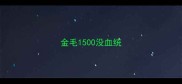 金毛1500没血统
