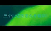 三个月边牧怎么开始训
