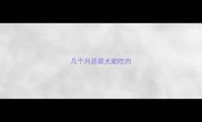 几个月恶霸犬能吃肉