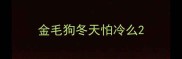 金毛狗冬天怕冷么