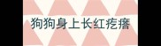 狗狗身上长红疙瘩