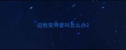 边牧变得爱叫怎么办