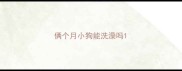 俩个月小狗能洗澡吗