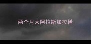 两个月大阿拉斯加拉稀