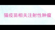 猫疫苗相关注射性肿瘤