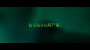 拉布拉多拉稀严重