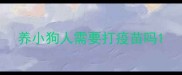 养小狗人需要打疫苗吗