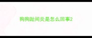 狗狗趾间炎是怎么回事