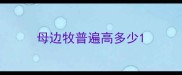母边牧普遍高多少