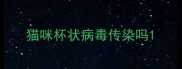 猫咪杯状病毒传染吗