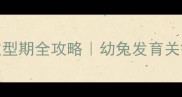 垂耳兔4-6月体型定型期全攻略幼兔发育关键期这样养才健康