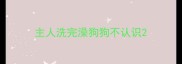 主人洗完澡狗狗不认识