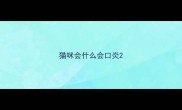 猫咪会什么会口炎