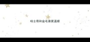 哈士奇和金毛谁更温顺