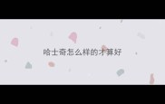 哈士奇怎么样的才算好