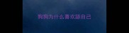 狗狗为什么喜欢舔自己