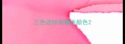 三色边牧有哪些颜色