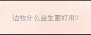 边牧什么益生菌好用